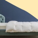 15 Best Duvets for Every Season & Budget in 2023