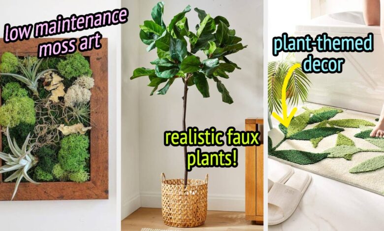 33 Products For Plant Lovers With A Black Thumb