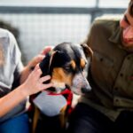 5 Tips For New Pet Parents (Sponsored content from Alex Sanders)
