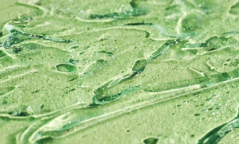 Aloe vera benefits for skin, hair and beyond, explained by experts