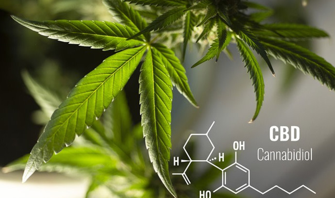 Tips to find the best CBD oil products