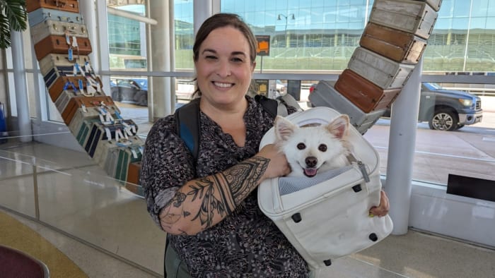 Traveling with a pet? San Antonio International Airport teams up with ACS to share summer travel tips