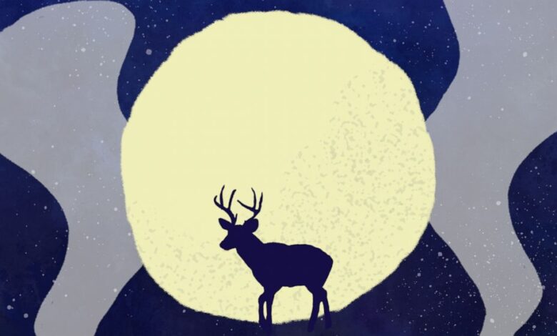 What is a Buck Moon? Full moon tips on how to live your best life