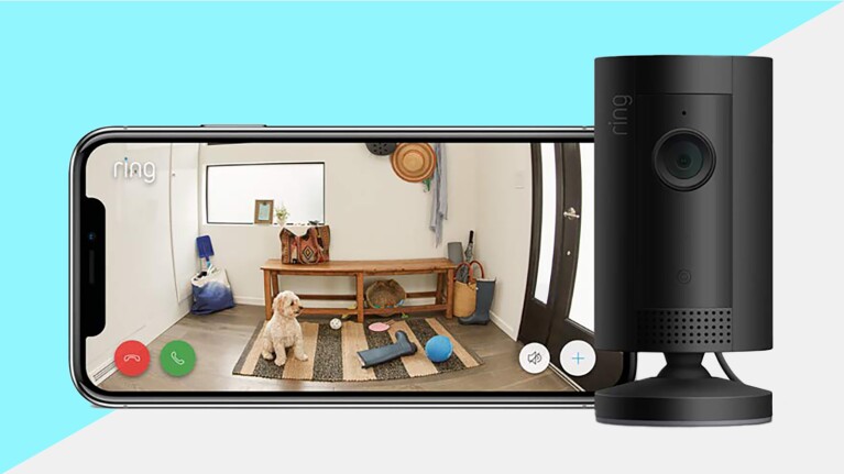 Prime Day 2023 live blog best deals: ring camera system showing an image of a dog sitting in the foyer.