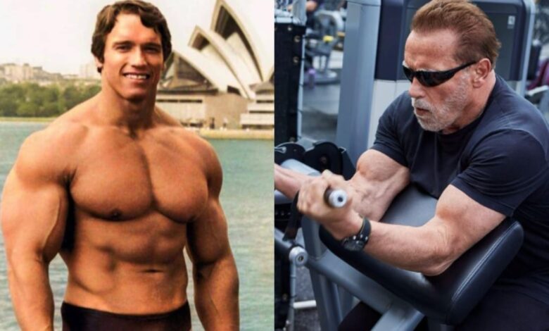 Arnold Schwarzenegger Unveils His 3-Tier 'Hierarchy of Muscle Gains' – Fitness Volt