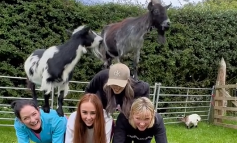 Edinburgh fitness studio shares 'brilliant' video of pygmy goat Pilates class