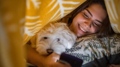 A woman lying in bed with a dog while looking at a phone.