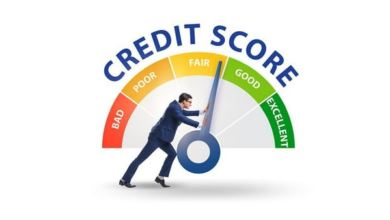 Tips to Use the Free CIBIL Score Check Facility to Improve Financial Wellness