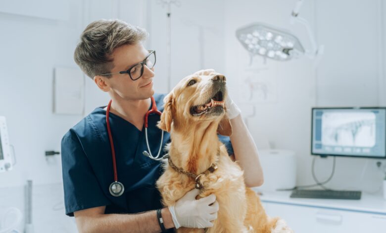 We are veterinarians, not vaccinarians—how wellness is perceived