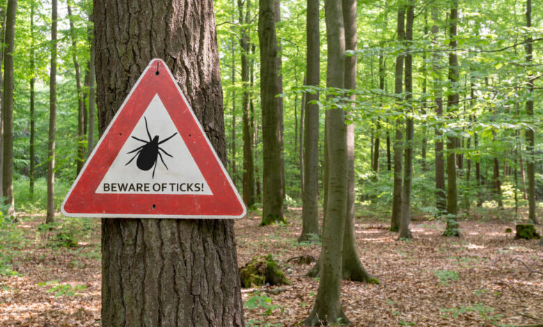 Lyme disease cases have gone up in the U.S. Here's why — and how to protect yourself.