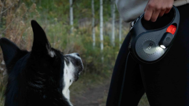Love evening walks with your pup? This retractable leash has a built-in flashlight and bag holder