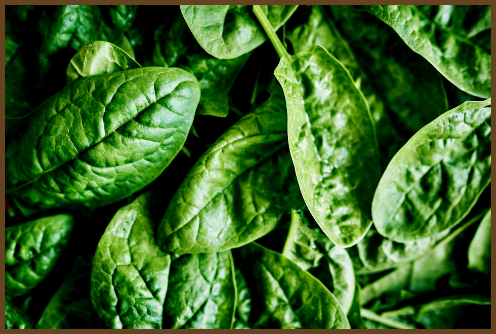 A close-up image of leafy green spinach.